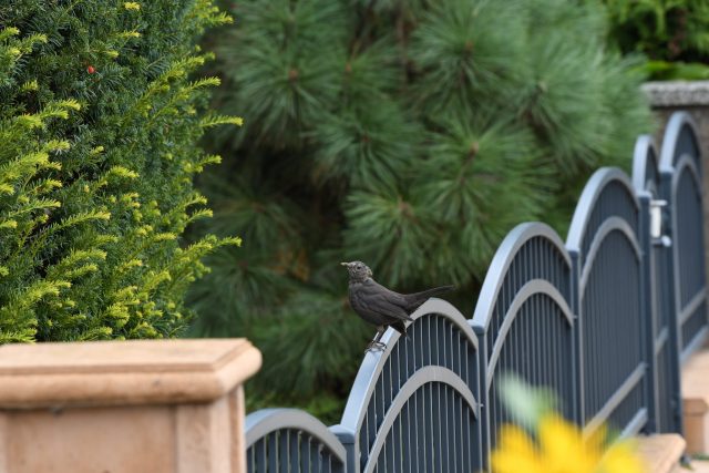 DSC_0070-scaled
