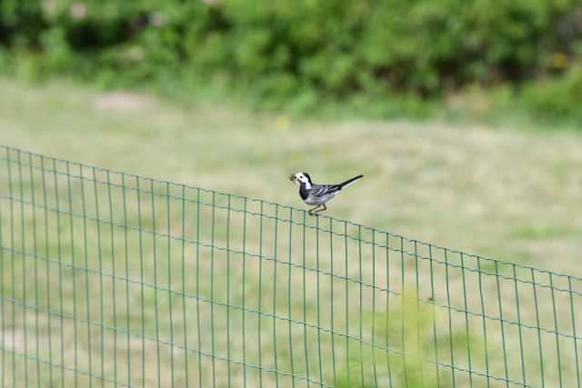 DSC_3278-scaled
