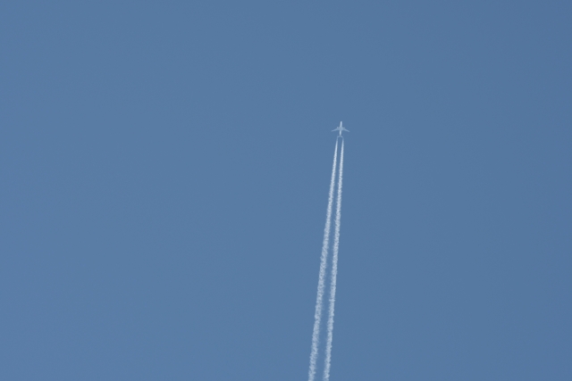 ND5_0177
