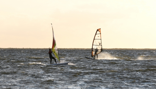 DSC_3784